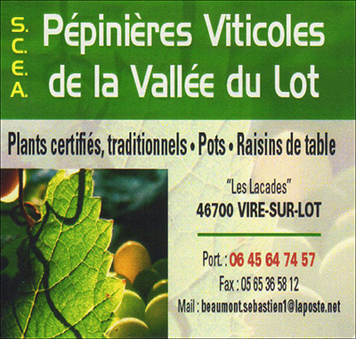 Mailto Pépinière Viticoles du Lot